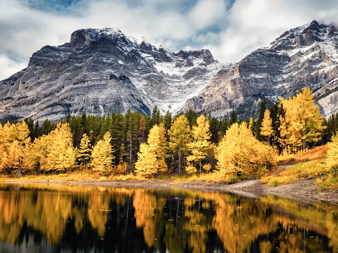 Goldene Herbstbäume spiegeln sich im See vor Bergen. Canmore, Alberta, Kanada.
