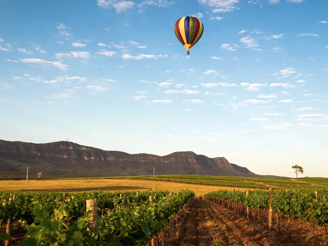 Heißluftballon über Weinbergen mit Bergen. Pokolbin, New South Wales, Australien.
