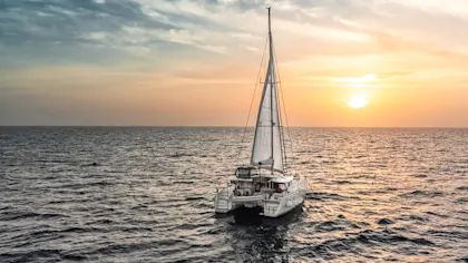 Mit Schweinen schwimmen auf den Bahamas - Image 1