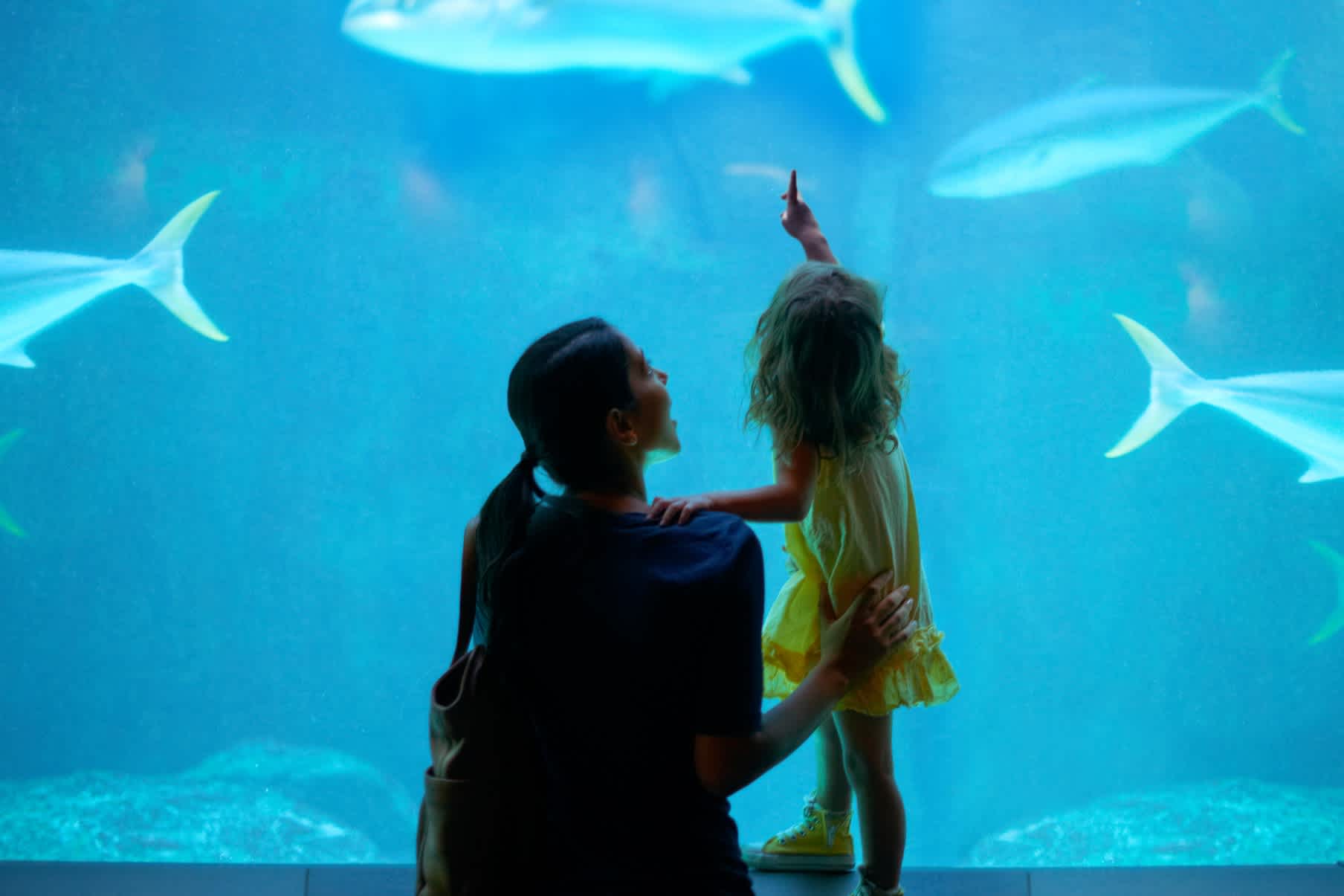 Mère et fille devant un aquarium contenant des poissons
