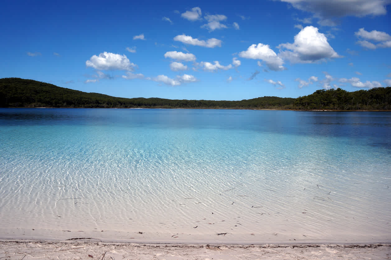 Discover one of the 100 freshwater lakes at Lake McKenzie (or Boorangoora) during your Fraser Island Tour.