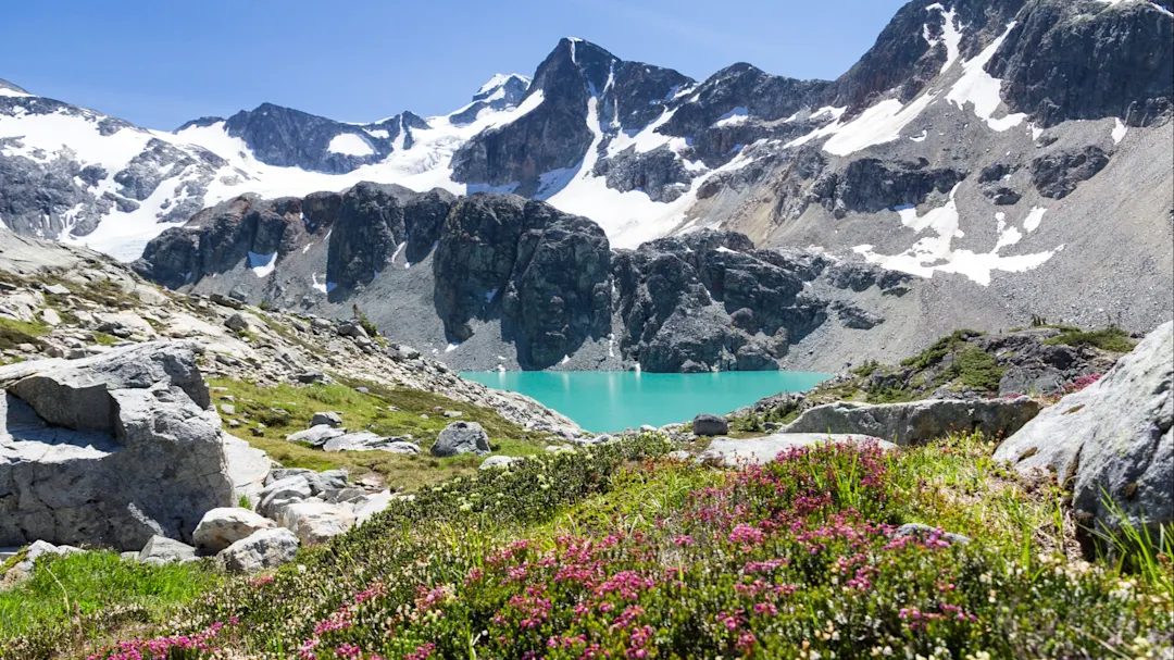 Blick auf den Wedgemount Lake Wedge Mountain und Blumen, Whistler, BC, Kanada

