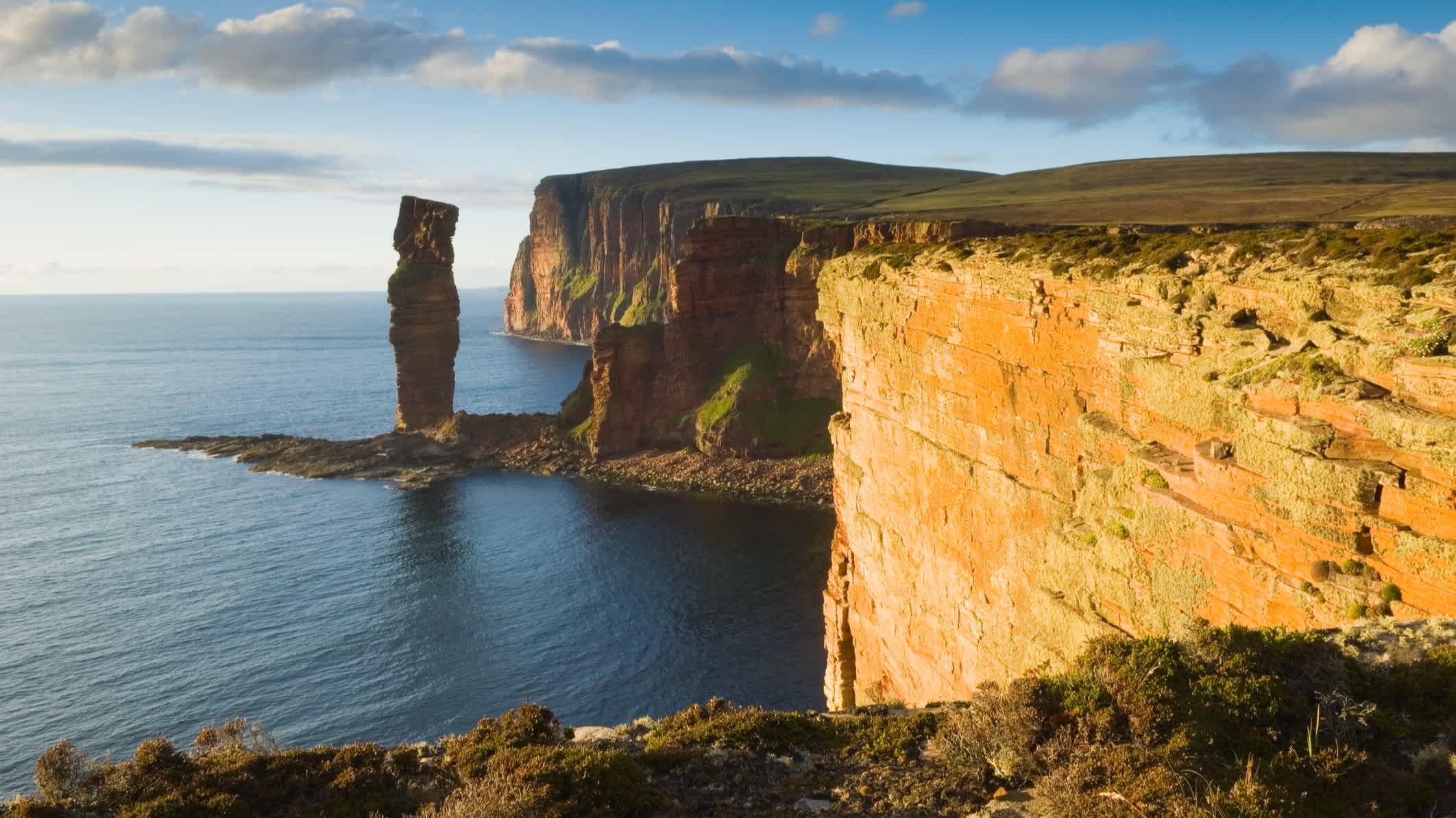 Vue sur les falaises ensoleillées, à Orkney, en Écosse