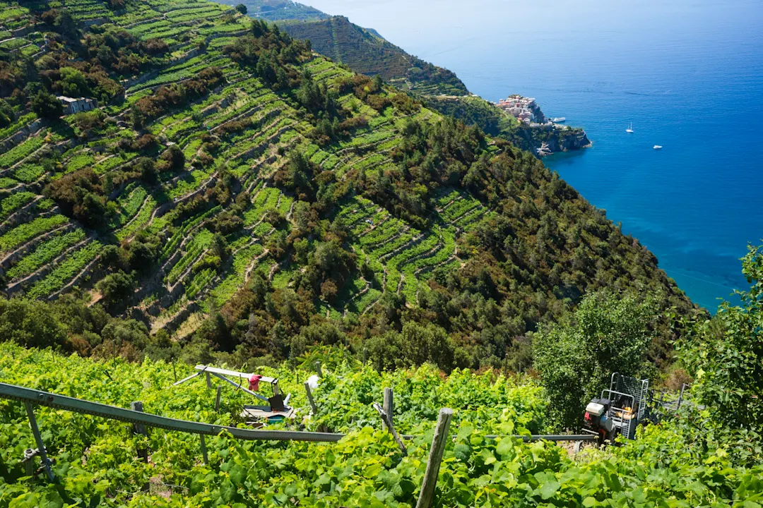Monorail-System für den Zugang zu terrassierten Weinbergen in Cinque Terre in der Nähe des Dorfes Volastra.

