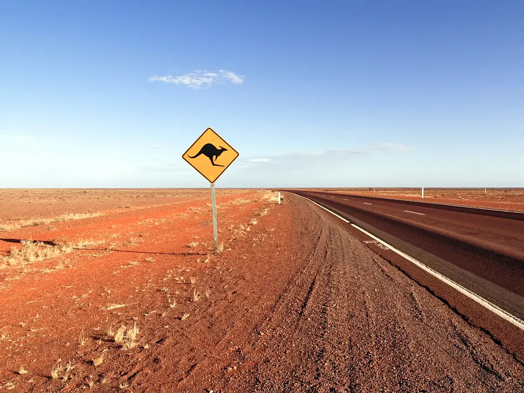 Straße mit Känguru-Warnschild in der Wüste. Outback, South Australia, Australien.
