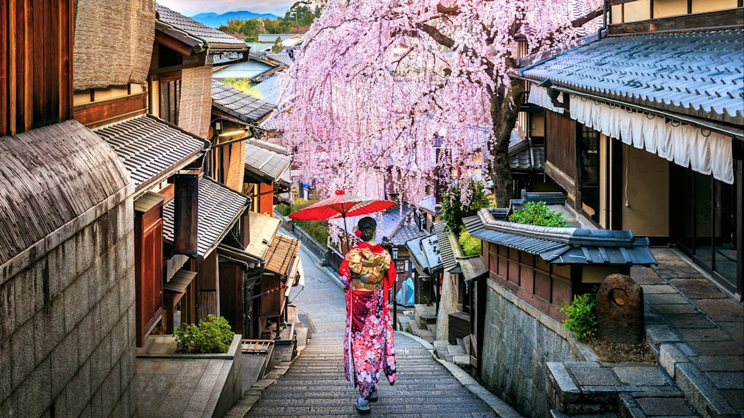 Circuit au Japon de 21 jours - main image