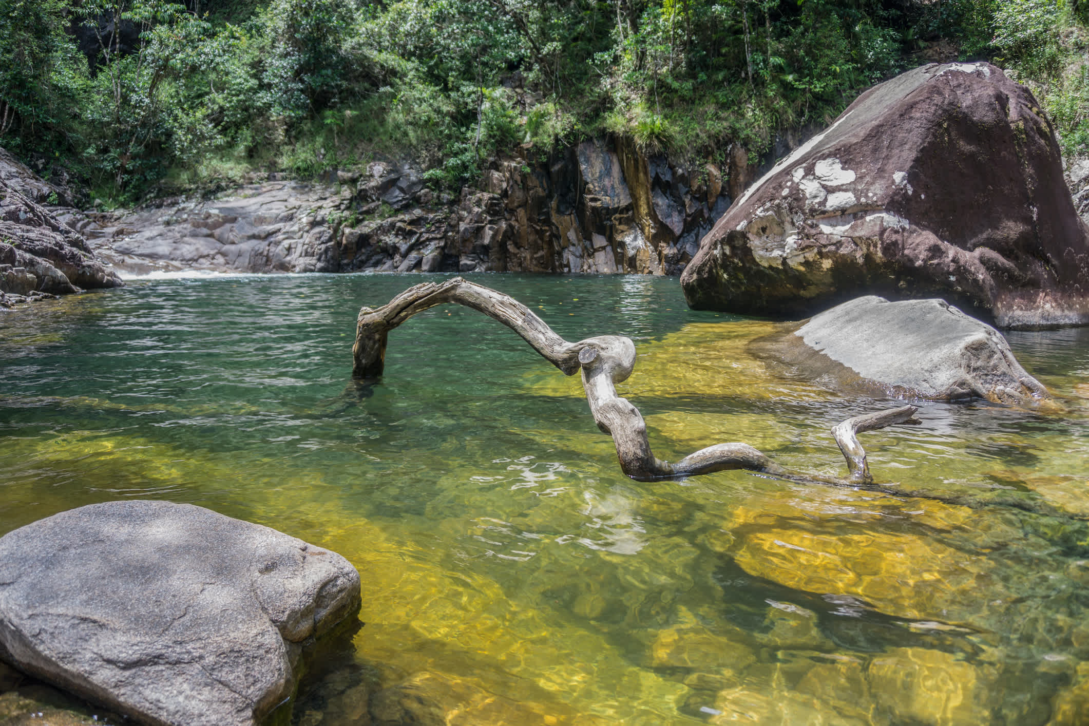 Le parc national d'Eungella en Australie, Océanie
