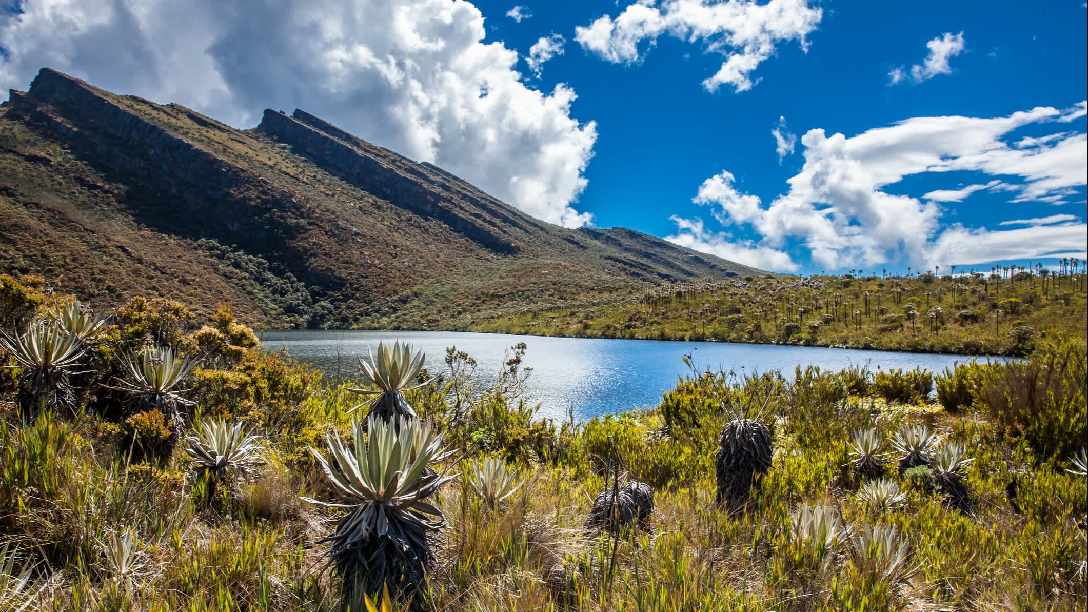 Lac entouré de montagne et de végétation, dans les Andes, près de Paramo en Colombie.