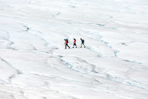 Randonneurs dans la neige