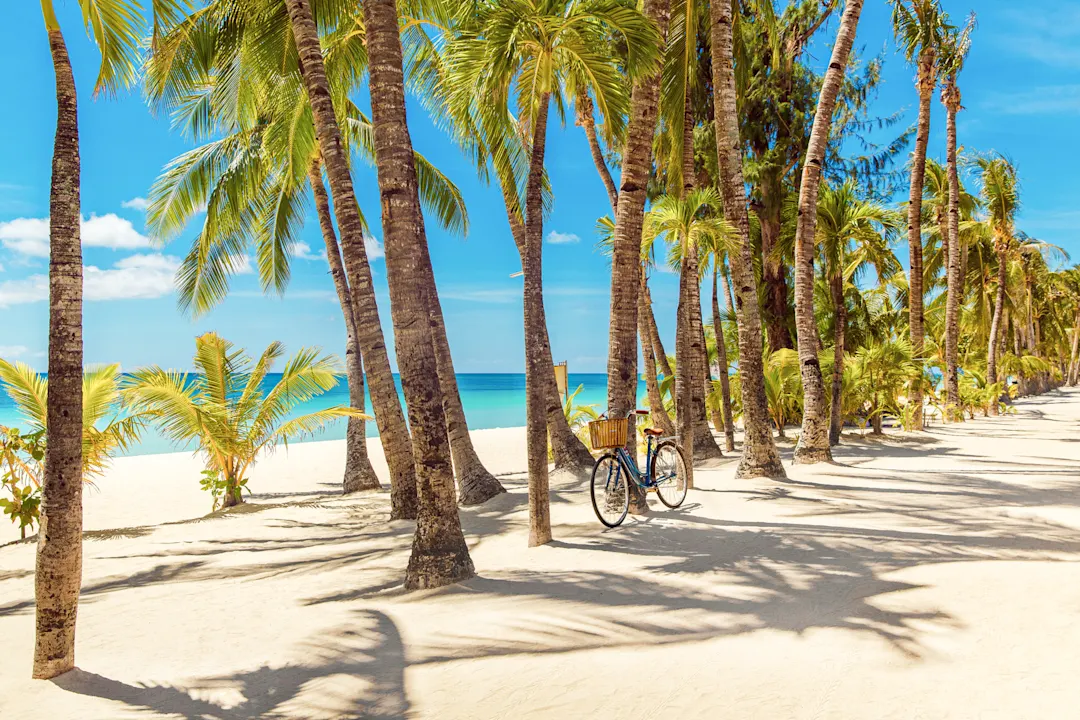 Palmen und ein Fahrrad direkt am Strand bei Boracay.