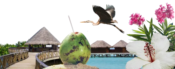 Collage XS - Malediven