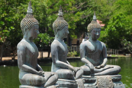 Drei Buddha Statuen am Beira Lake in Colombo