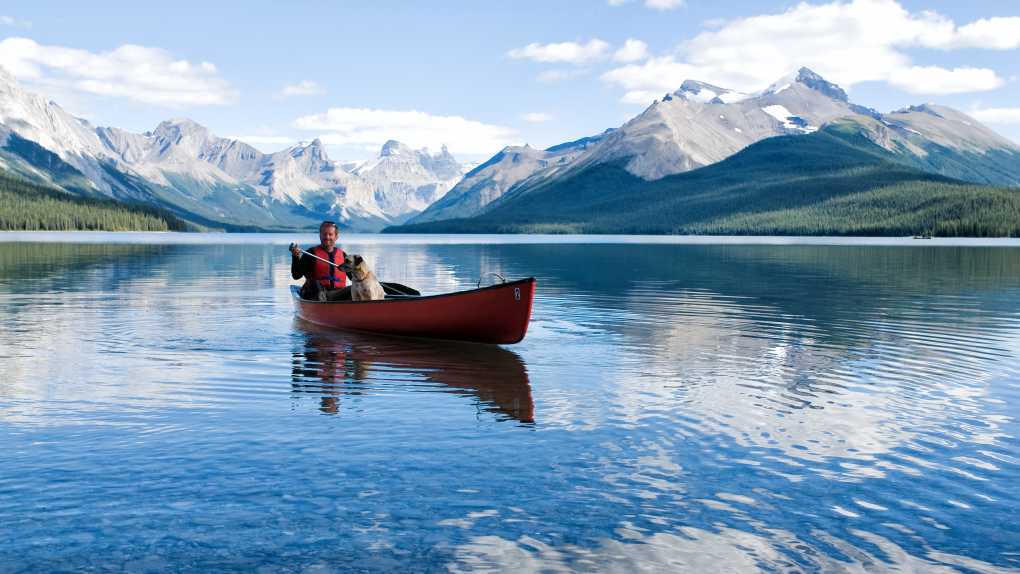 Un homme et chien à bord d'un canoë sur le lac Maligne au milieu des montagnes Rocheuses, ou Rocky Mountains en anglais, pendant un voyage au Canada.