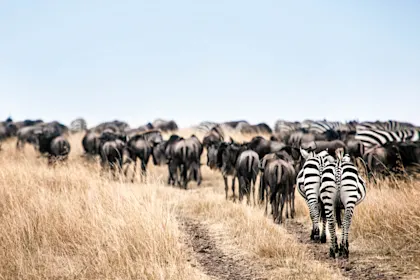Voyage en Namibie en 4x4 - Image 2
