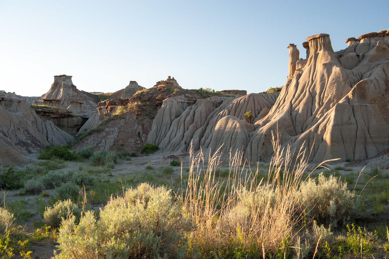 Dinosaur Provincial Park in Brooks, Kanada