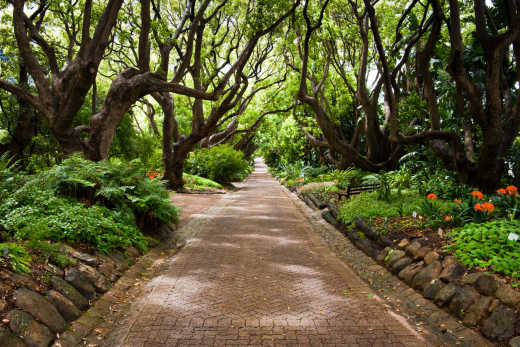 Entdecken Sie während Ihres Aufenthalts in Kapstadt einen der größten Botanischen Gärten der Welt.