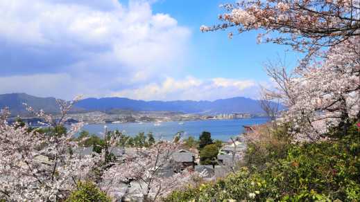 Panorama mit den Bergen und blühende Sakura von der Insel Miyajima, Japan.