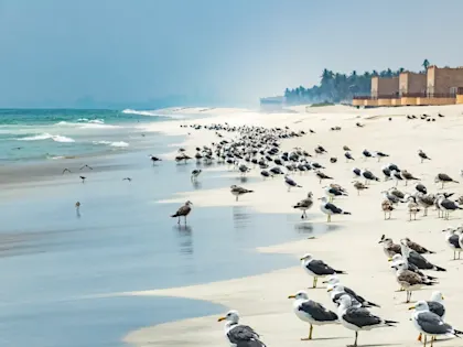 Oman Rundreise und Baden: Wüste und Strand - Image 1