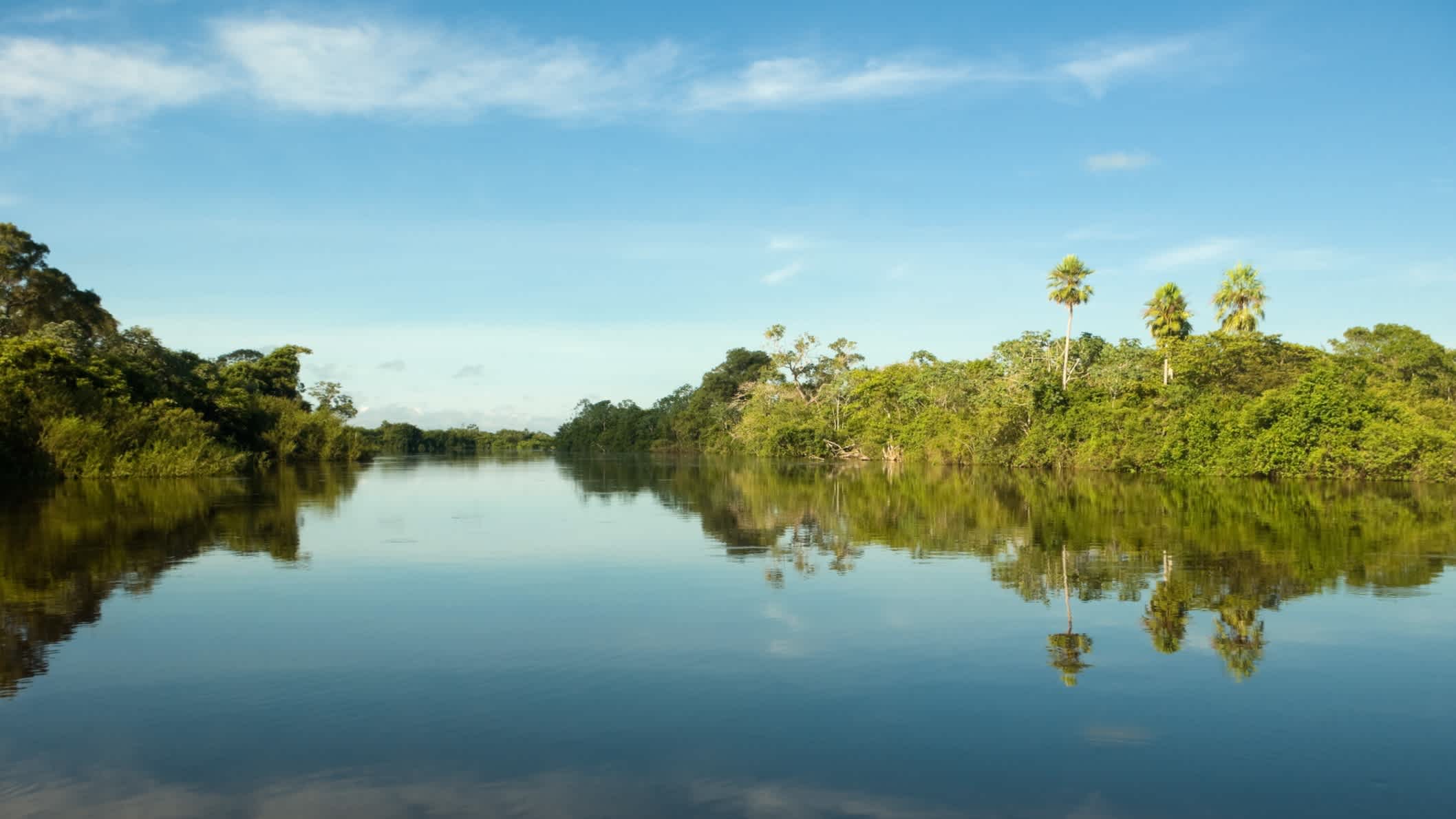 Blick auf den Fluss Abobral in Pantanal-Feuchtgebiet, Brasilien 