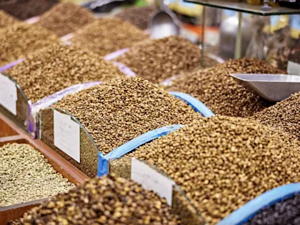 Saudi-Arabien-Rundreise: 2 Wochen orientalisches Abenteuer - Image 2