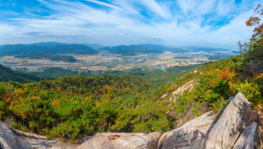 Grüne Berglandschaft vom Namsan-Berg aus gesehen
