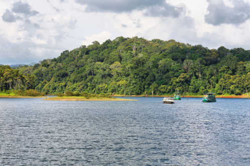 Der schöne Periyar-See im Periyar-Nationalpark, Kerala. 