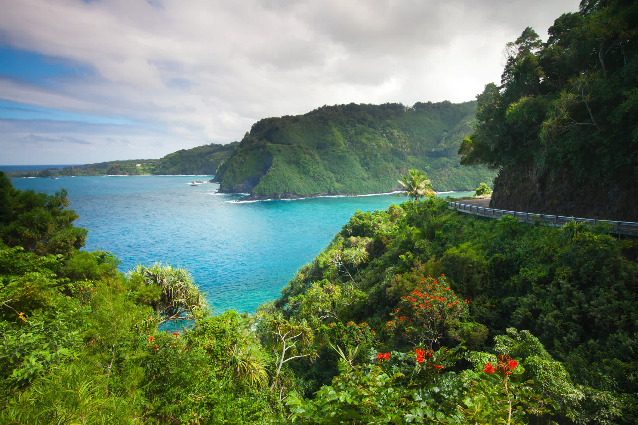 La route côtière mène à Hana, sur l'île de Maui, le long d'une végétation dense et de l'océan sauvage.