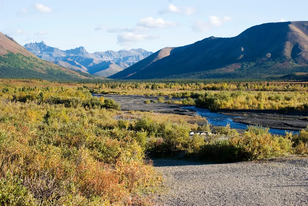 Savage River Savage River
