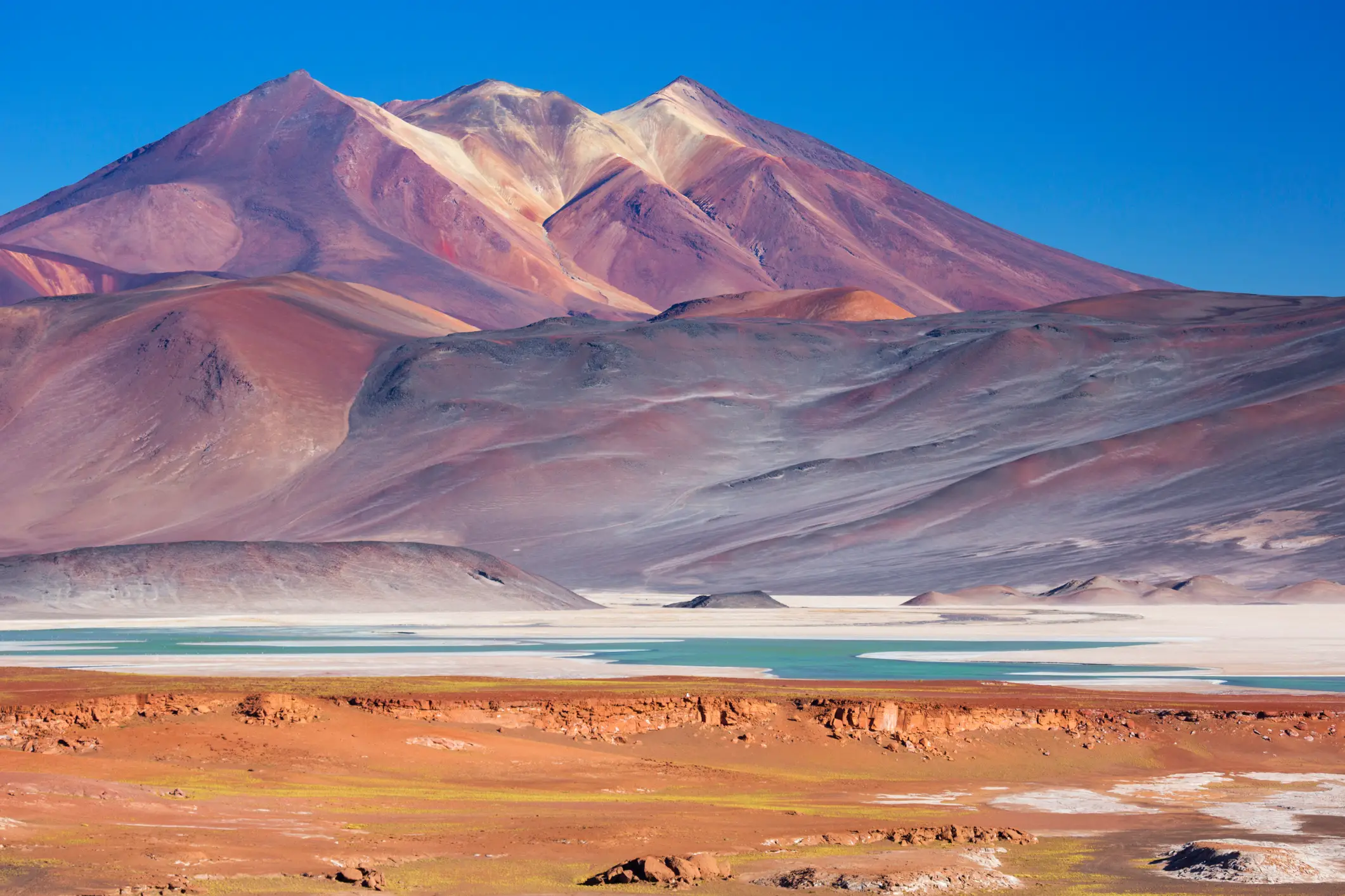 Chili, Désert San Pedro de Atacama, Salar de Talar Chili, Désert San Pedro de Atacama, Salar de Talar