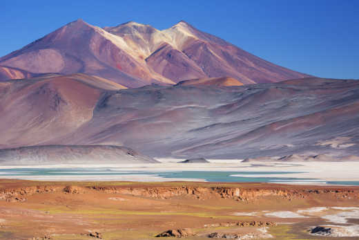 Magnifique panorama coloré sur le salar de Talar en plein de désert de San Pedro de Atacama pendant un voyage au Chili.