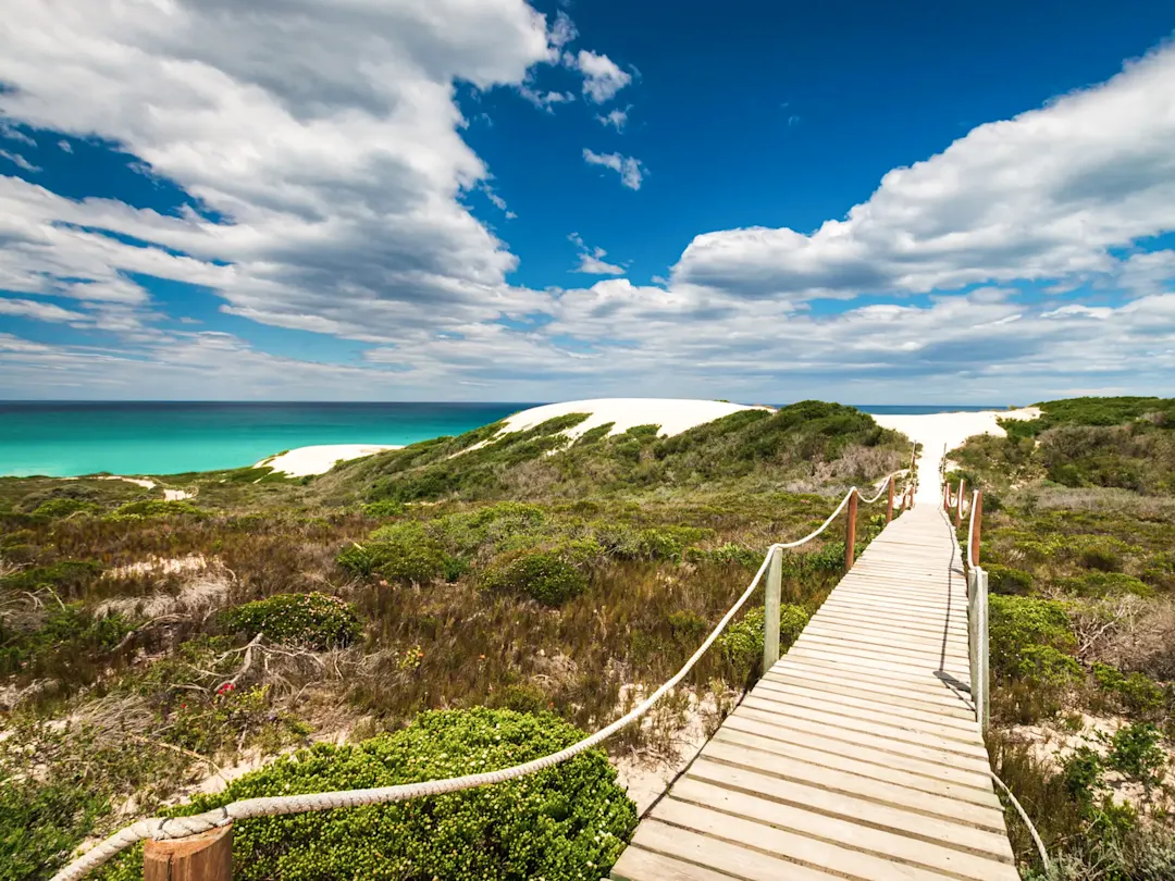 Holzsteg führt durch Sanddünen zu einem türkisfarbenen Meer unter blauem Himmel. De Hoop, Westkap, Südafrika.
