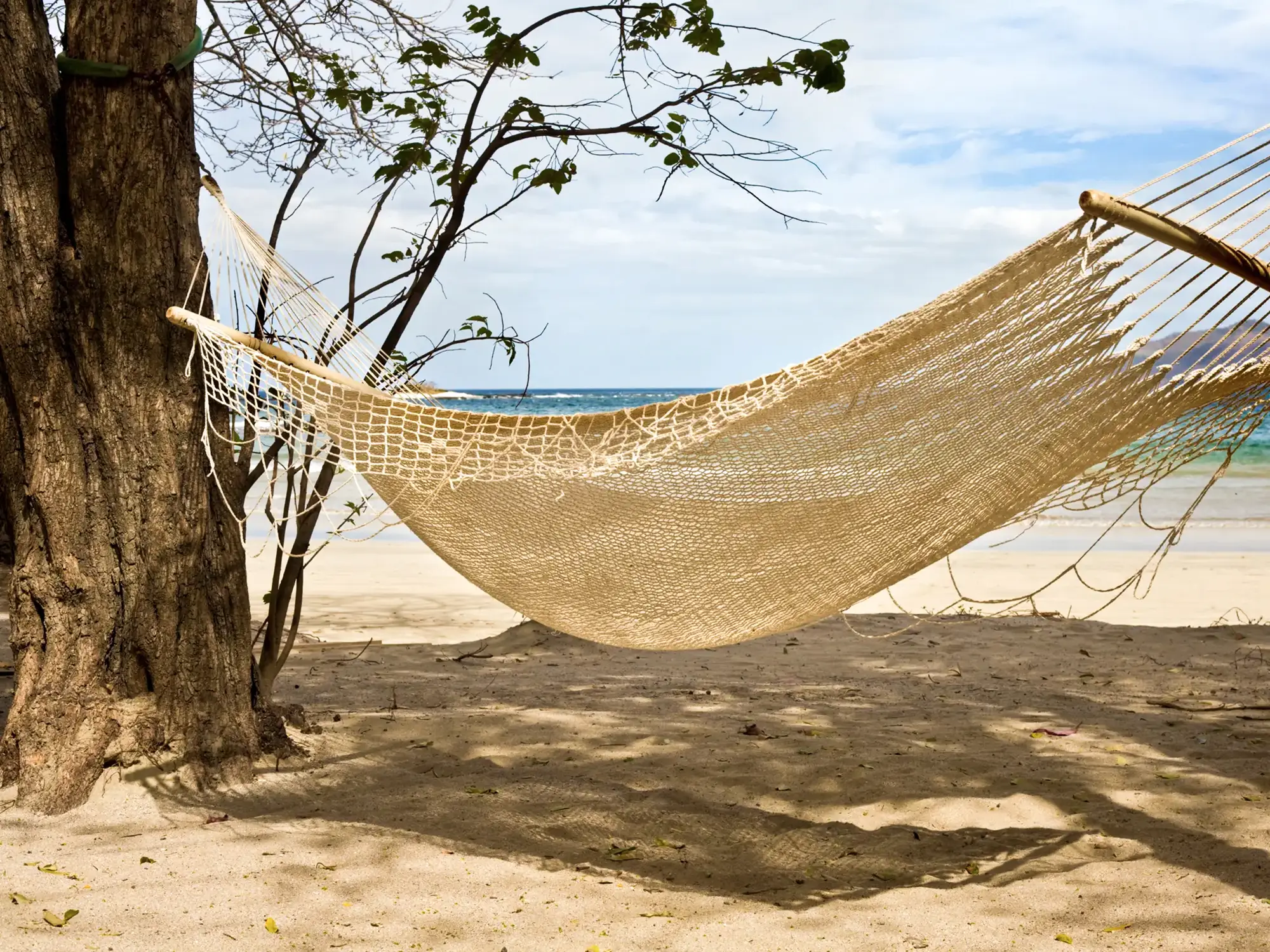 Eine geflochtene Hängematte hängt zwischen zwei Bäumen an einem Sandstrand, im Hintergrund sind das Meer und der blaue Himmel zu sehen. Die Szene wirkt friedlich und einladend und suggeriert Entspannung am Meer.