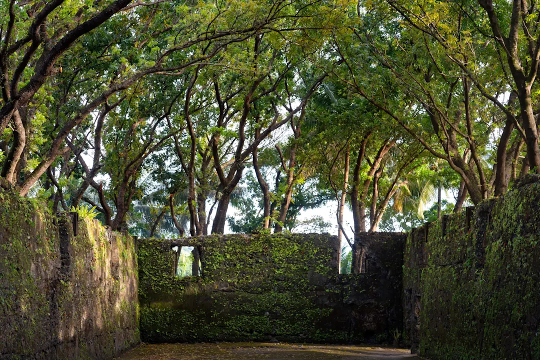 Philippinen, Camiguin, Old Spanish Ruins Ruinen einer alten spanischen Kirche auf der Insel Camiguin, Philippinen