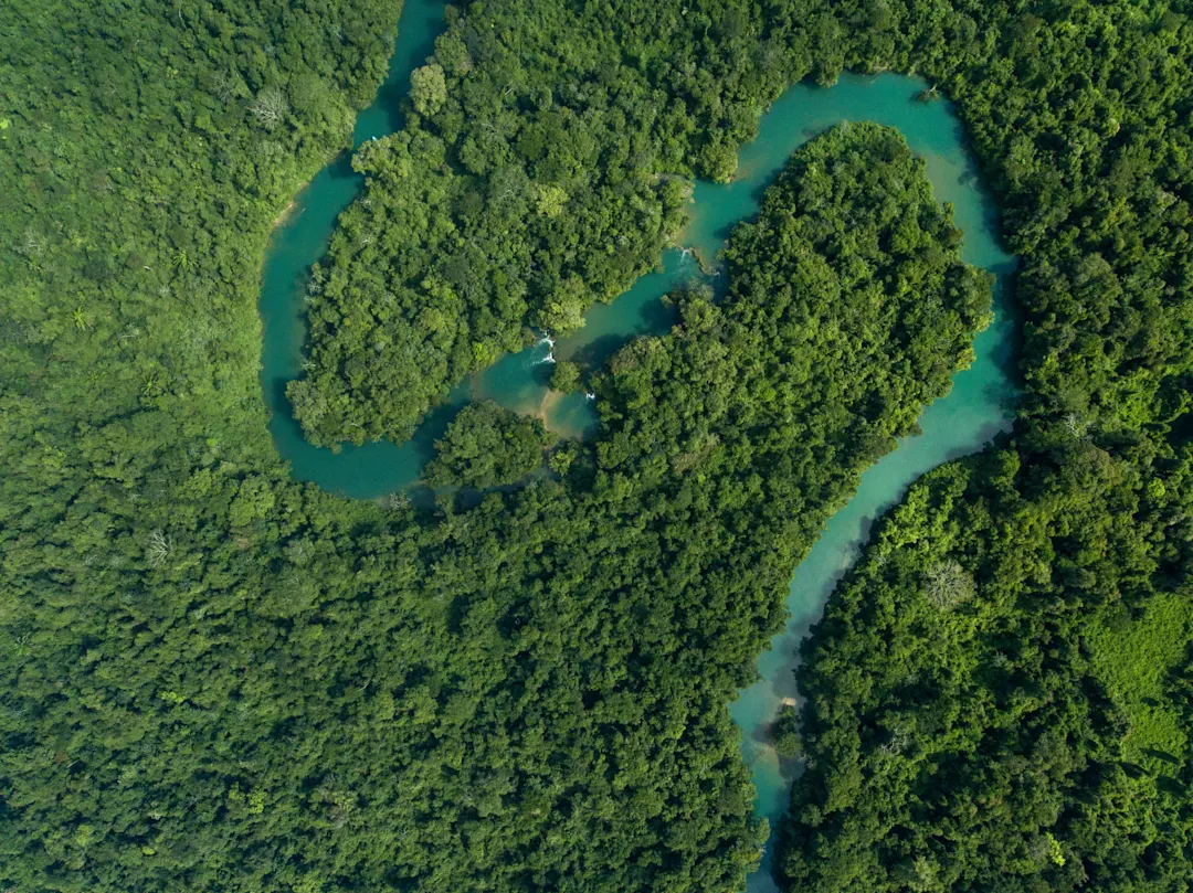 Mexiko, Chiapas, Montes Azules Vue aérienne d'une rivière qui serpente à travers la jungle