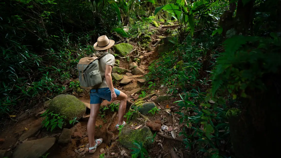 Seychelles, Wandern Eine Frau wandert im tropischen Regenwald, Seychelles.