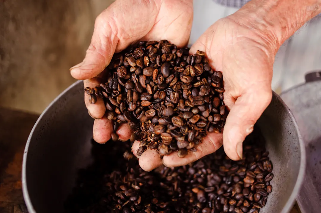Kaffeefarm Kaffeefarm