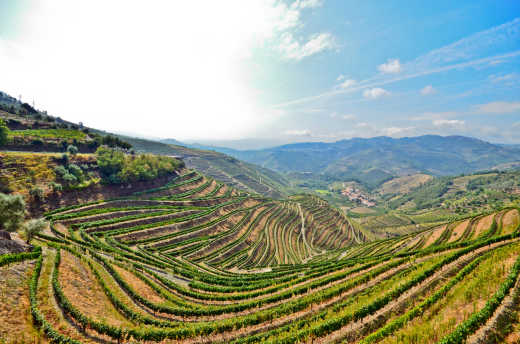 Visit the Duoro Valley, pictured here, on a Portugal vacation