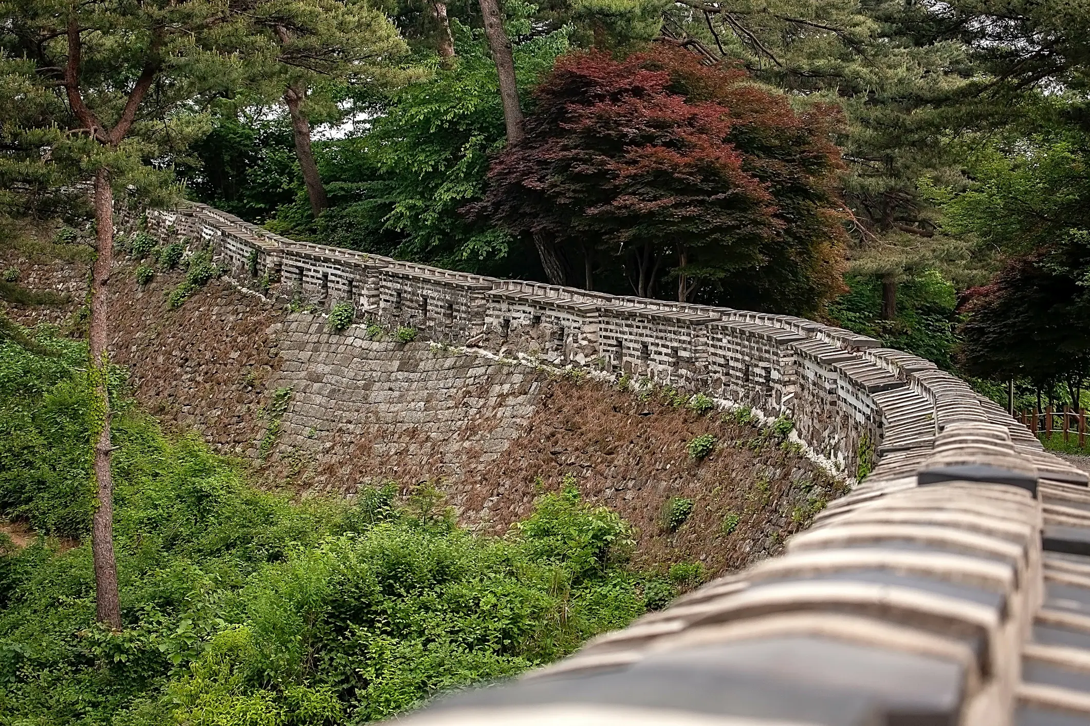 Südkorea, Gwangju Frühlingslandschaft der Provinz Namhansan, Gwangju, Südkorea.