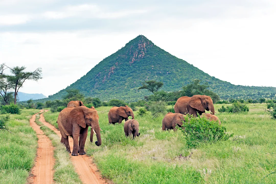 Circuit Kenya, Tanzanie et Zanzibar