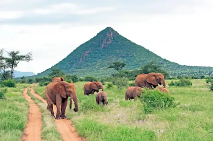 Circuit Kenya, Tanzanie et Zanzibar - Image 1