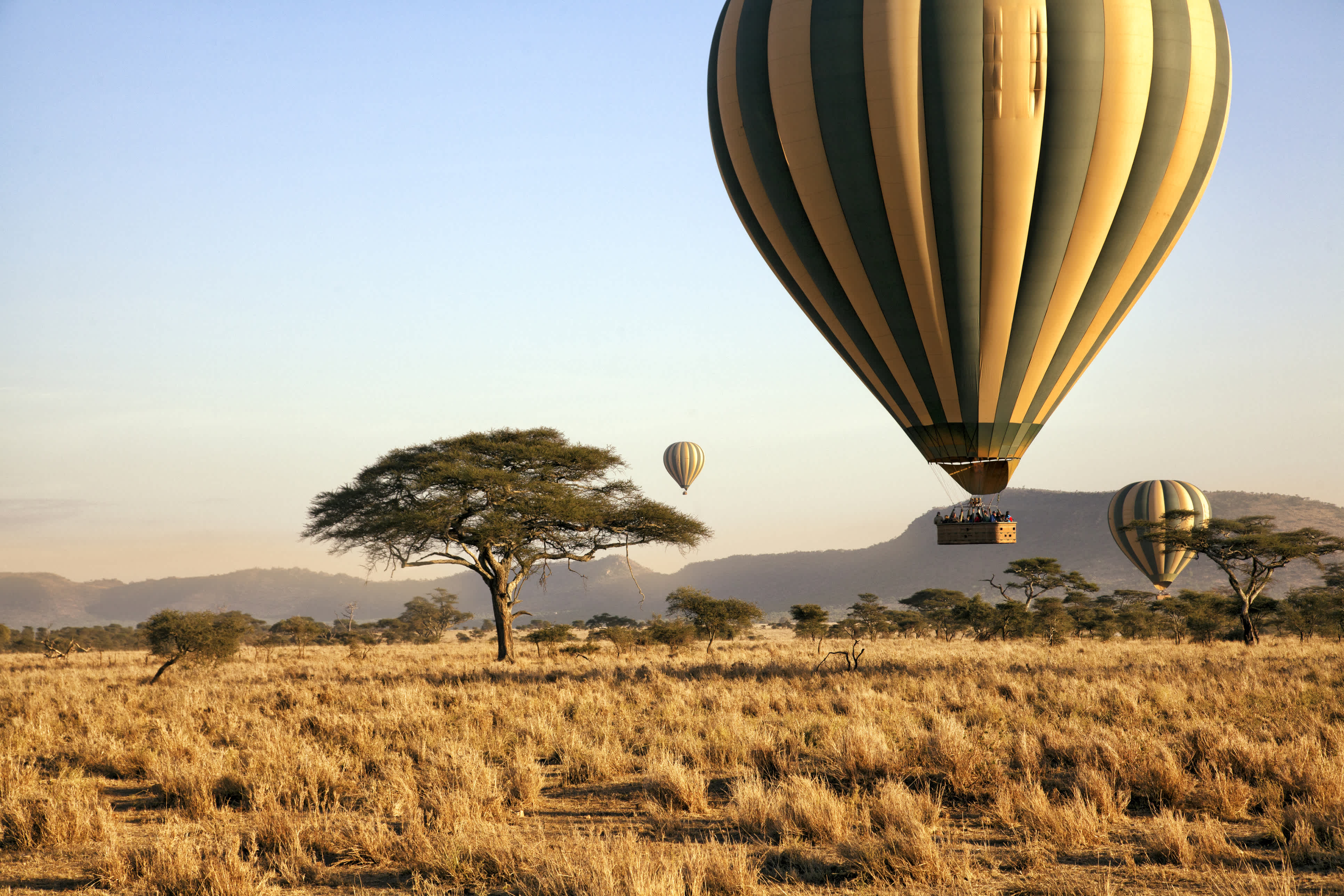 Survol de la savane en montgolfière pendant un circuit de 15 jours en Tanzanie combiné à l'île du Zanzibar.