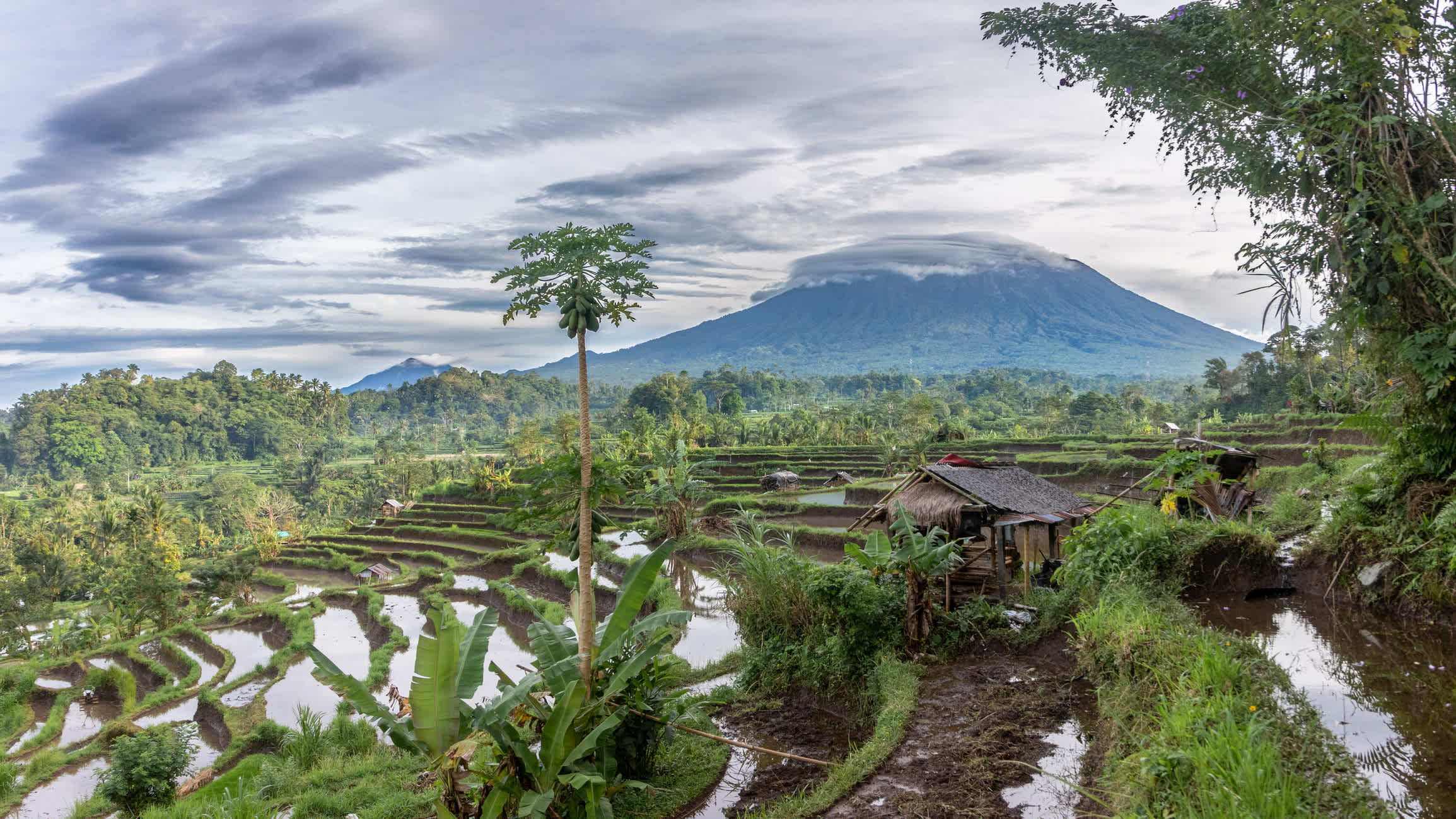  Reiseterrassen und Vulkan Agung im Dorf Sidemen, Bali, Indonesien.