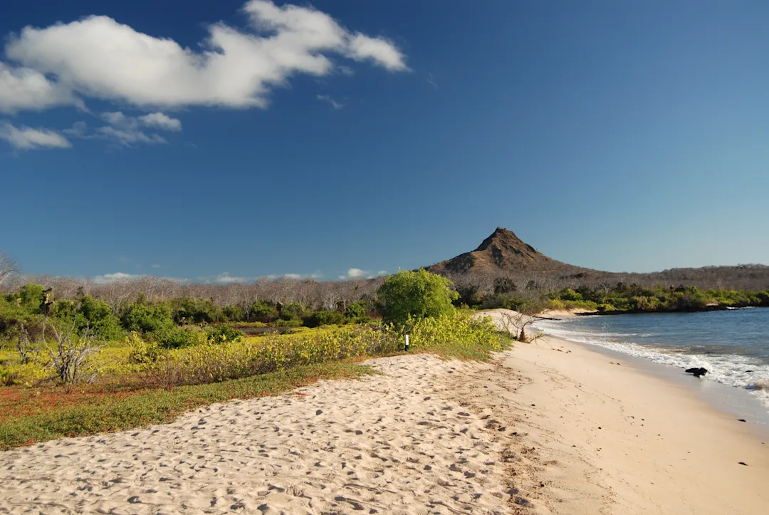 Séjour dans les îles Galapagos