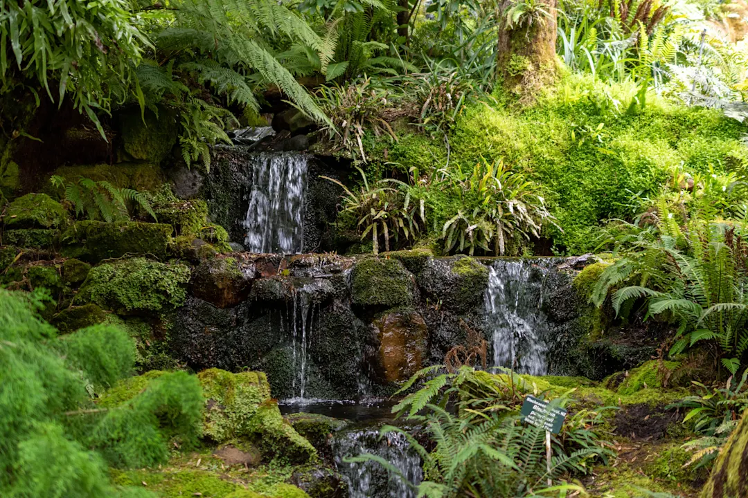 Ozeanien Australien Hobart Botanic Garden Hobart Botanic Garden
