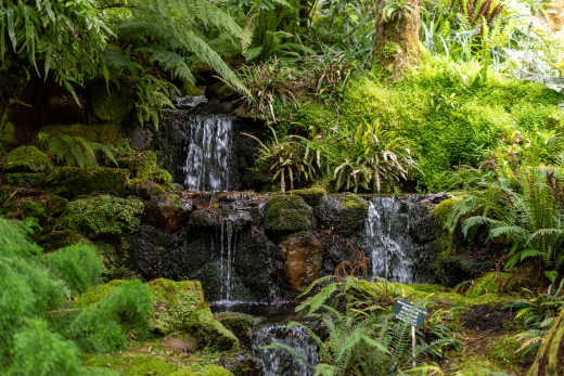 Jardin botanique de Hobart