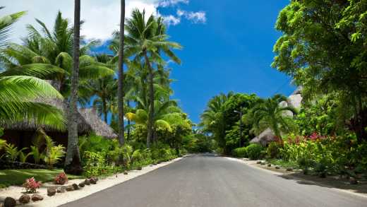 Straße mit Palmen auf Bora Bora