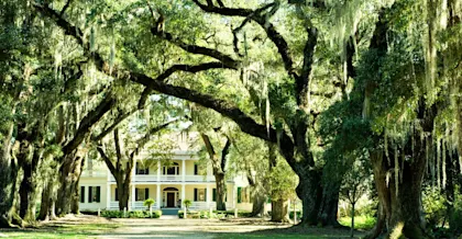 Road trip au Texas et en Louisiane - Image 4