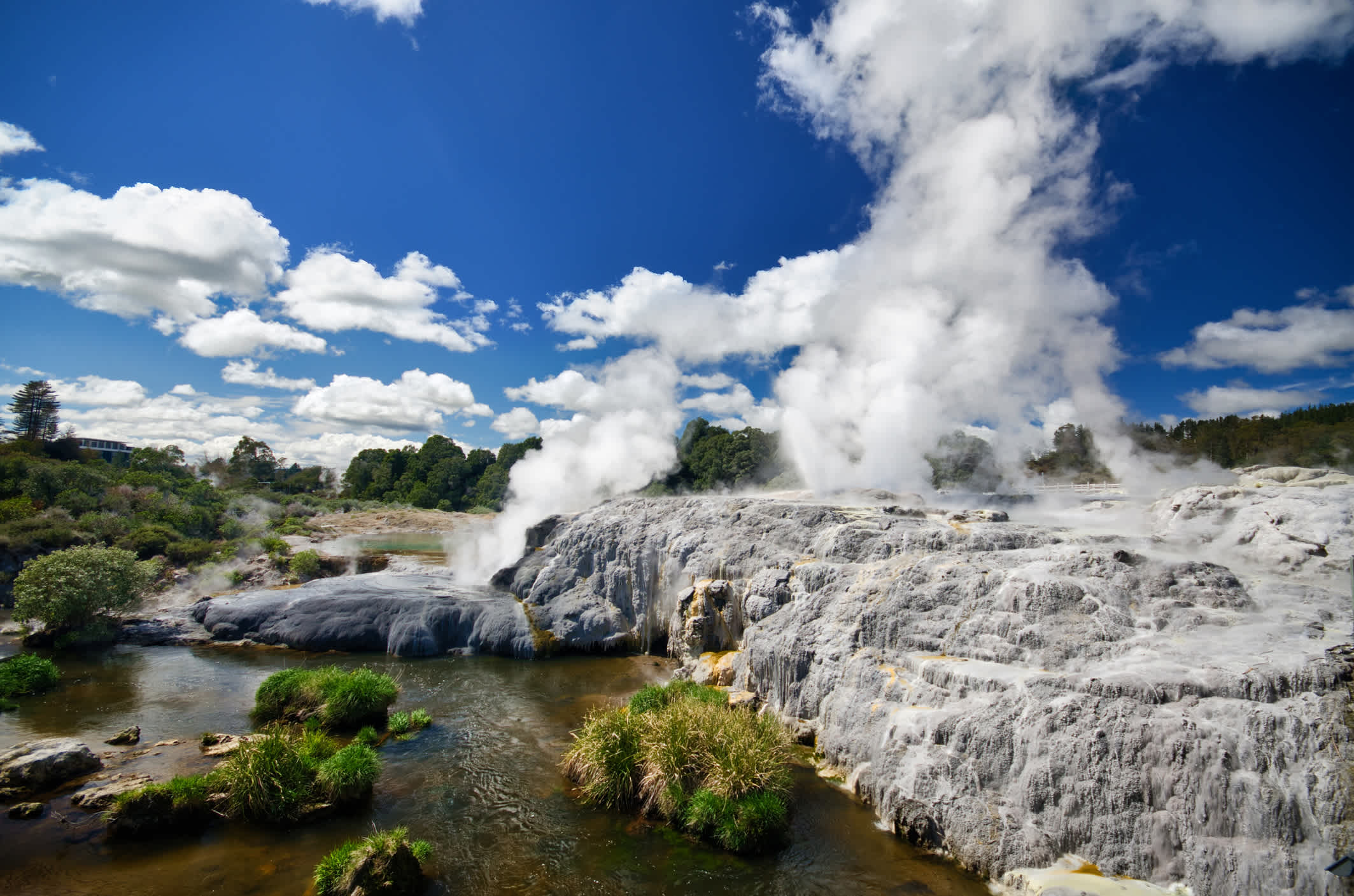 Geothermisches Gebiet in Rotorua - Te Puia