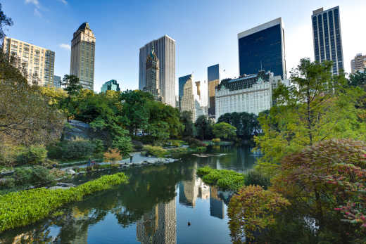 Impossible passer des vacances à New York sans se balader dans Central Park, le plus grand parc et poumon vert de la ville.