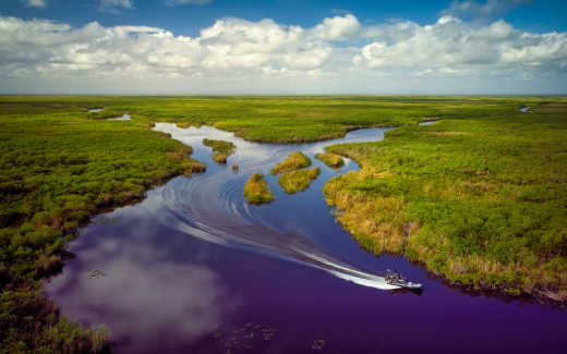 Vue aérienne du parc national des Everglades, en Floride
